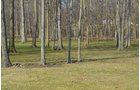 Property photo 38 - 3.4 Acres Offered in 2 Tracts - 3 Bedroom Ranch Home plus Additional Lot